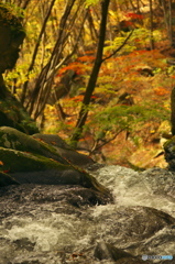 滝川渓谷