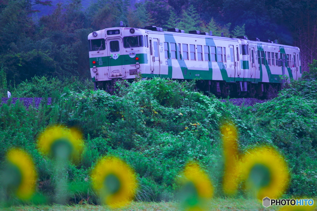 在りし日のジーゼル車