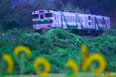 在りし日のジーゼル車