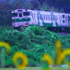 在りし日のジーゼル車