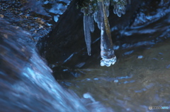 滝川渓谷の氷柱　Ⅰ