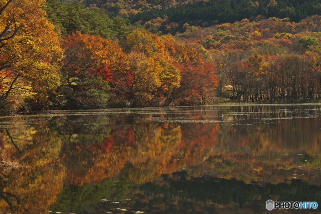 観音沼の紅葉