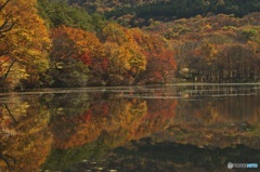 観音沼の紅葉