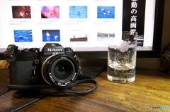使い倒したフィルムカメラ(^^♪