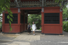 雨引観音樂法寺の境内　Ⅳ