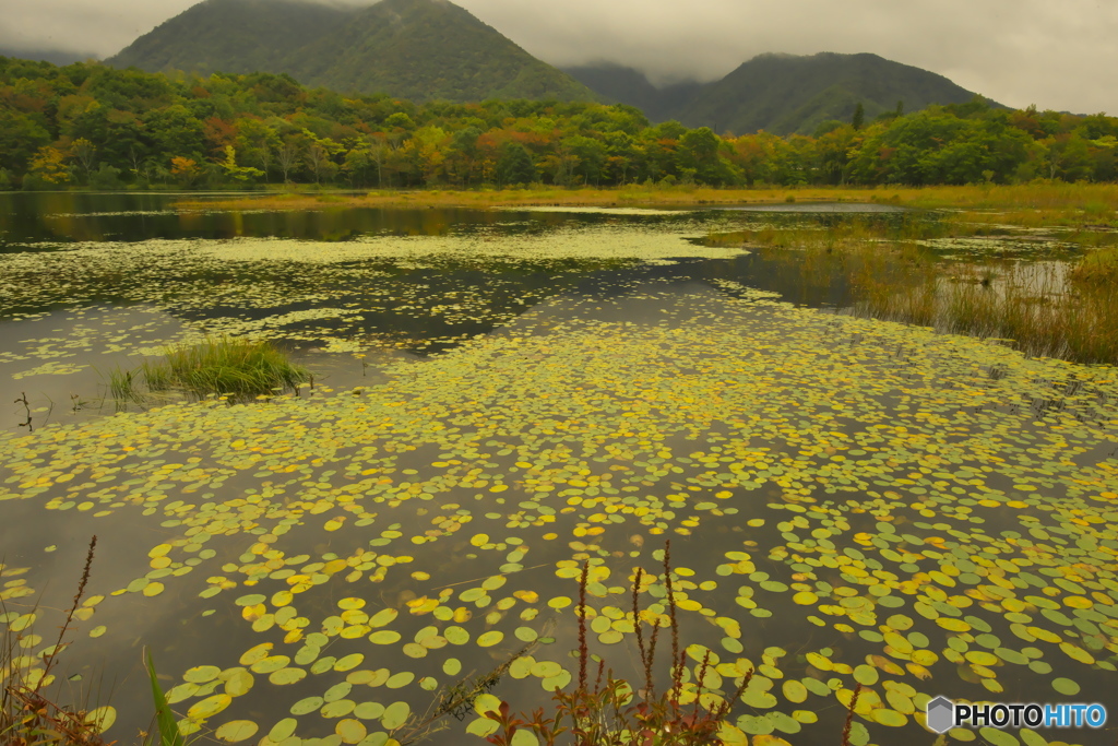 観音沼森林公園　弐