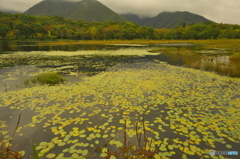観音沼森林公園 弐 観音沼森林公園 弐