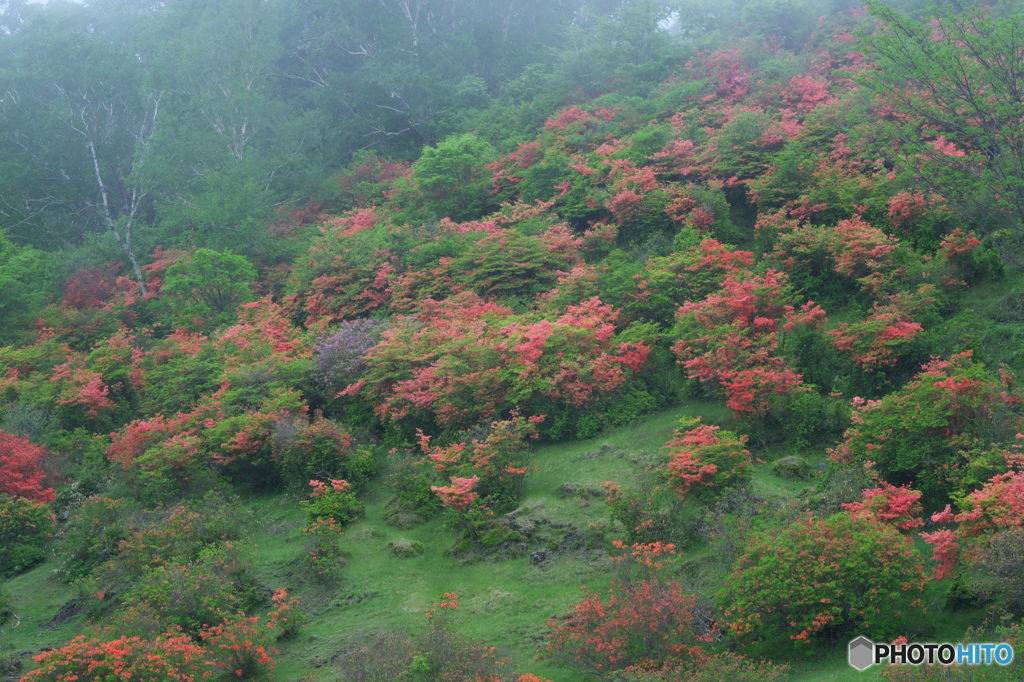 霧の赤城山