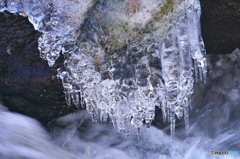 滝川渓谷の氷柱