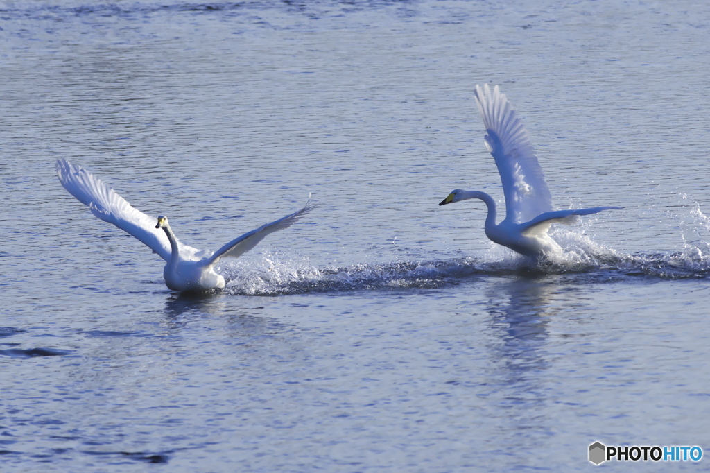 追いかけっこ♫