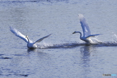 追いかけっこ♫