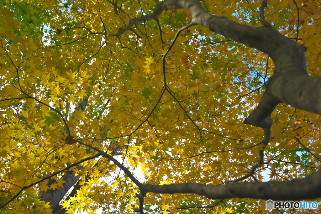 観音沼森林公園