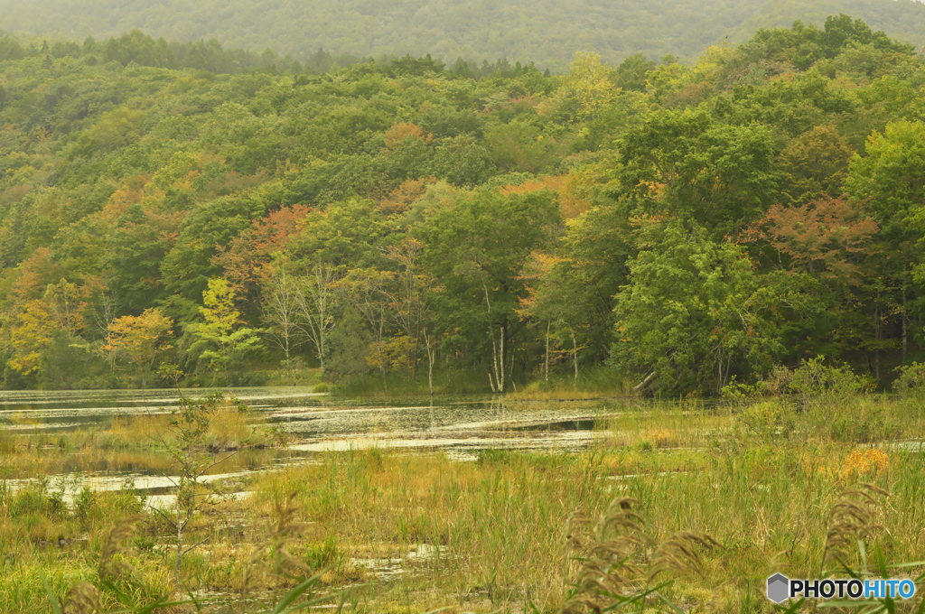 観音沼の秋