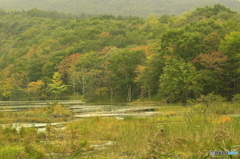 観音沼の秋 観音沼の秋