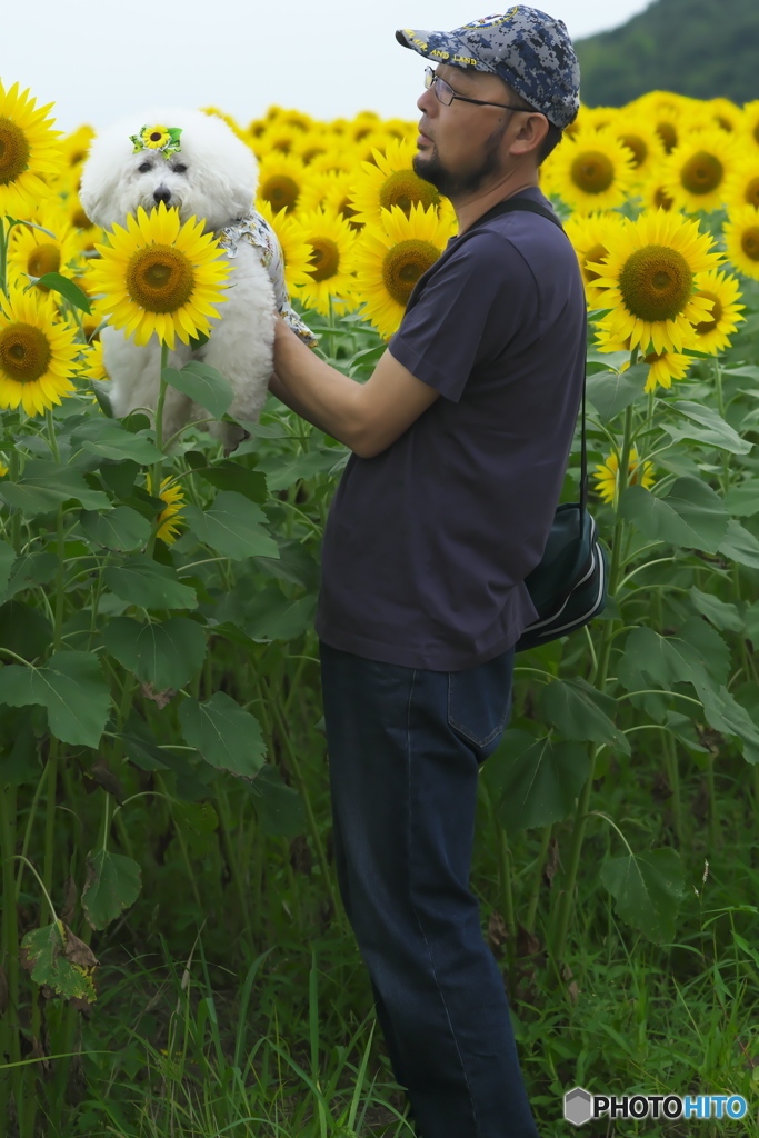 花簪　　ニ