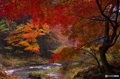 滝川渓谷 