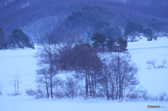 檜原湖の冬景色