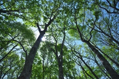 観音沼森林公園のフォトウォーキング　Ｄ