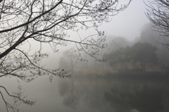 霧の公園