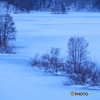松原湖の冬景色