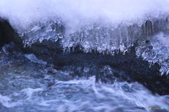 飛沫氷柱