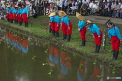 近津神社の中田植え　弐