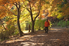 公園の秋　イ