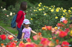 公園の撮影会スナップ　ハ