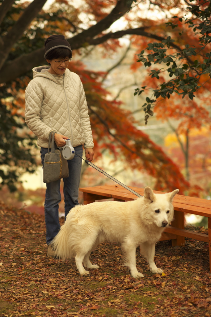 御殿山公園