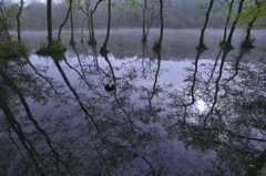 霧の公園