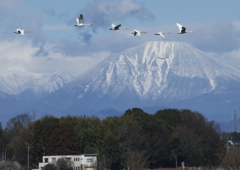 北帰行準備