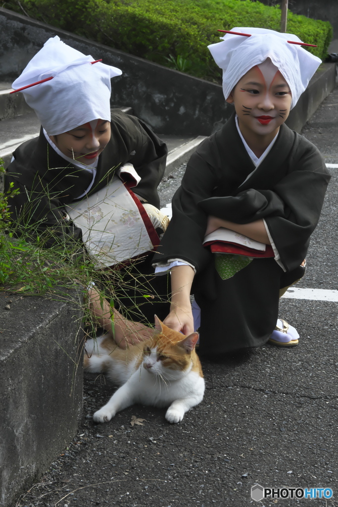 にゃんこも参加。　(^^♪