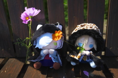 美人三人がセットした。