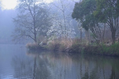 霧の公園　イ