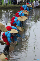 近津神社の中田植え　参