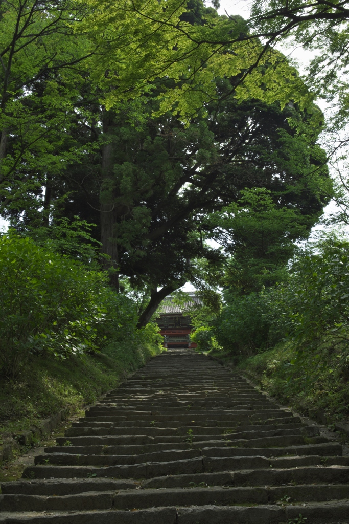 雨引観音楽法寺のひととき　ニ