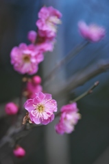 密やかに鮮やかに