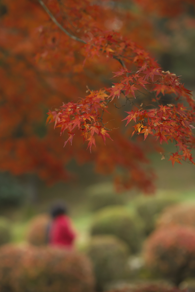 御殿山公園