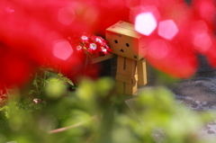 花を摘む
