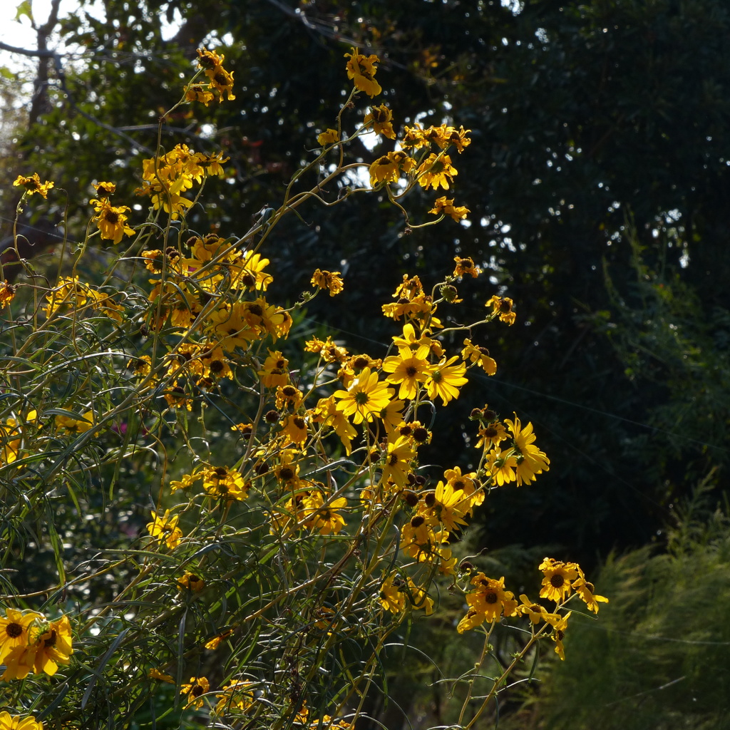P1000104