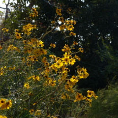 P1000104