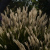 P1000099