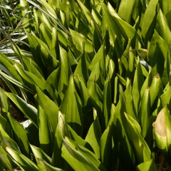 P1000063