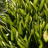 P1000063