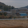 P1000019
