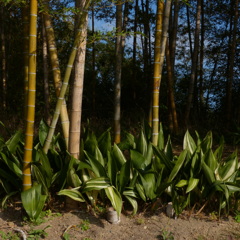 P1000055