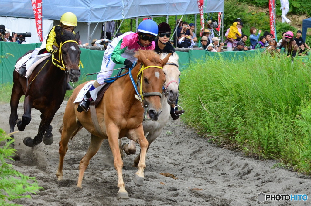 高ボッチ草競馬