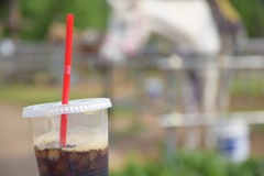初夏 牧場でアイスコーヒー
