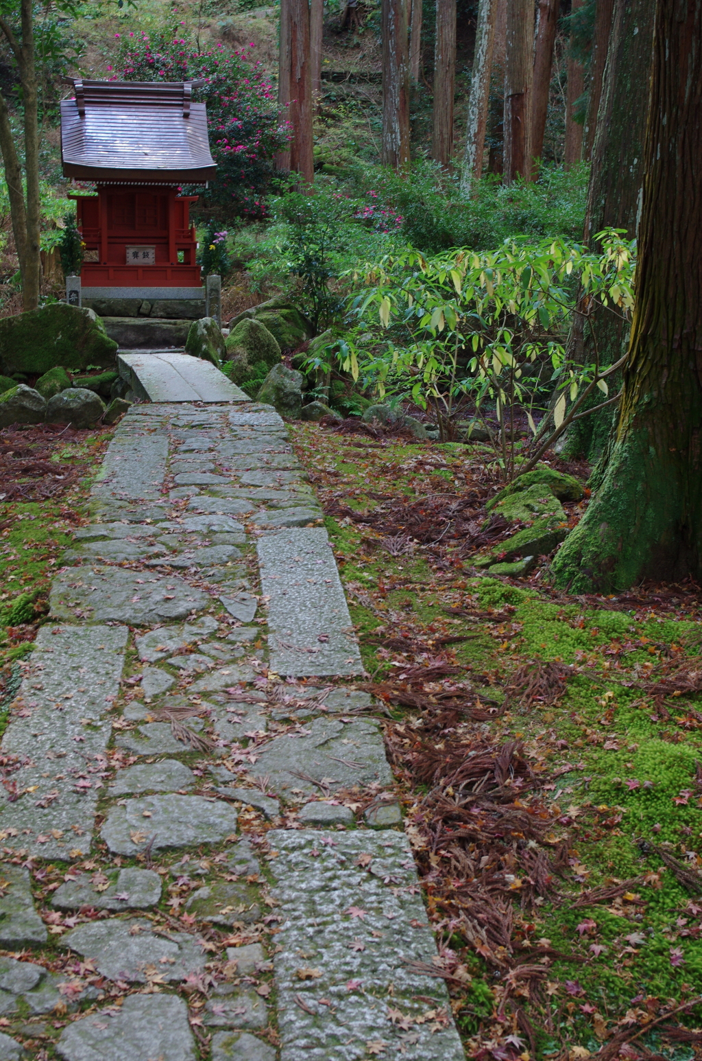 お参り(百済寺)