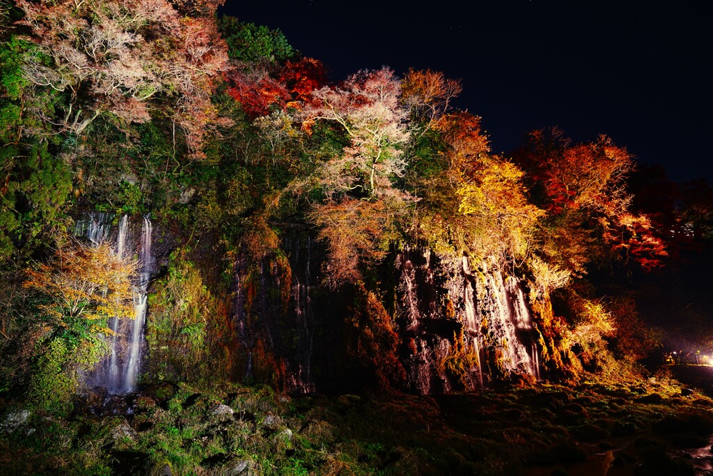 白糸の滝2